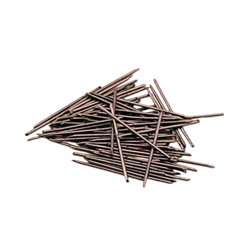 Chiodi Punte Senza Testa in Acciaio Temperato mm 0,9x25 Bustine da 100pz ca