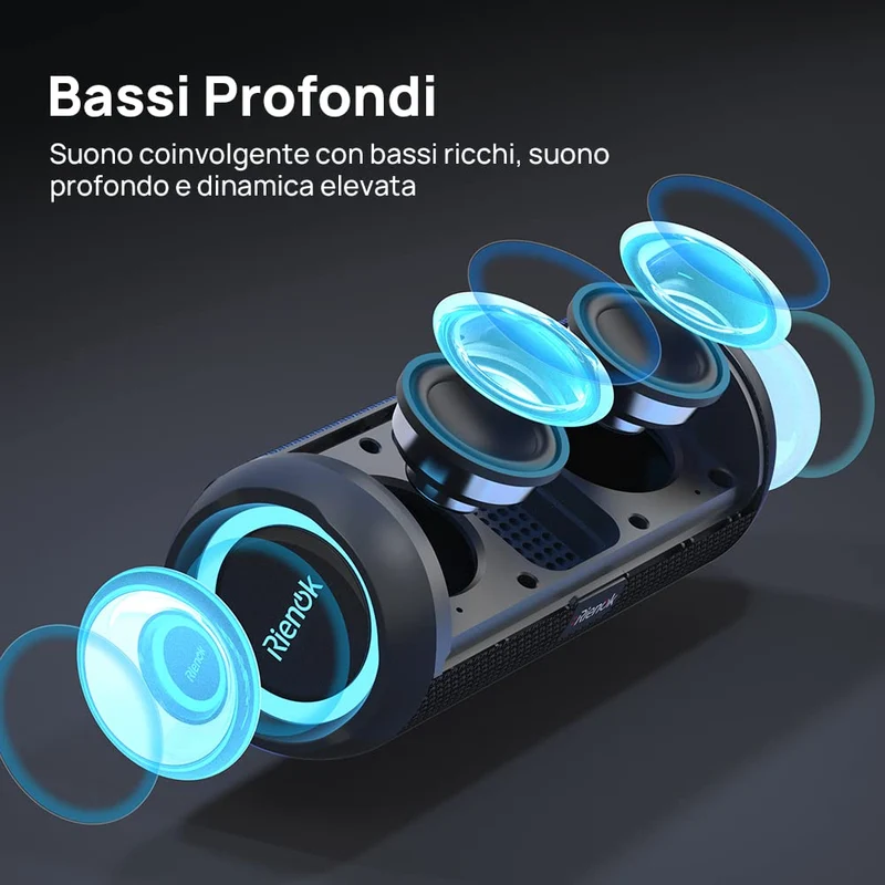 RIENOK Cassa Bluetooth Portatile Potente 30W IPX7 Impermeabile Altoparlante Bluetooth, Bassi Potenti, Luce LED, AUX & Micro SD