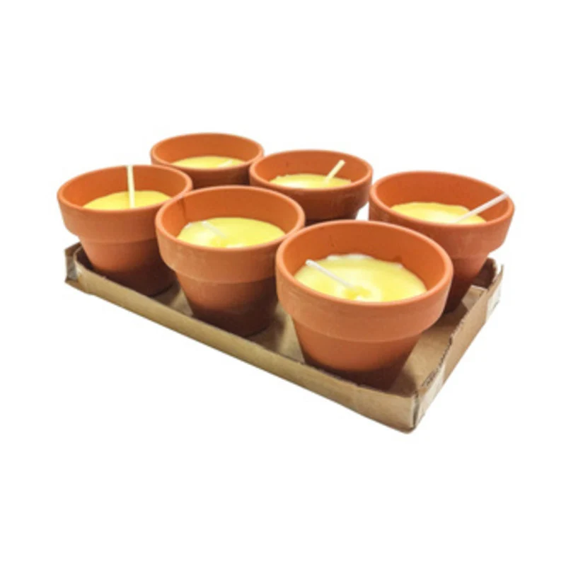 Citronella Pollicino Antizanzare 6 Pezzi Cm 7x6h Set 6pz