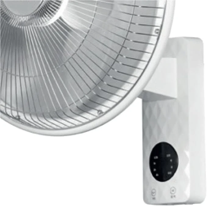 DCG SA9690 Stufa Elettrica da Parete al Carbonio A Parabola Telecomando e Timer