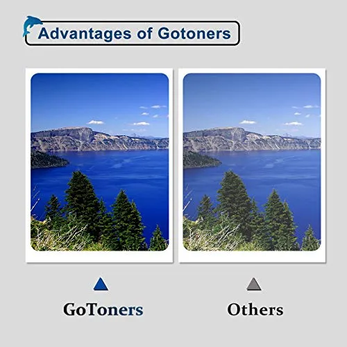 GoToners 604XL Cartucce Compatibili per Epson 604 XL Multipack per XP-2200 XP-2205 XP-3200 XP-3205 XP-4200 XP-4205 WF-2910 WF-2930 WF-2935 WF-2950 (4 Nero, 2 Ciano, 2 Magenta, 2 Giallo)