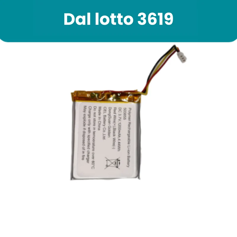 Batteria per il ricevitore YOO-Travel e YOO-Care