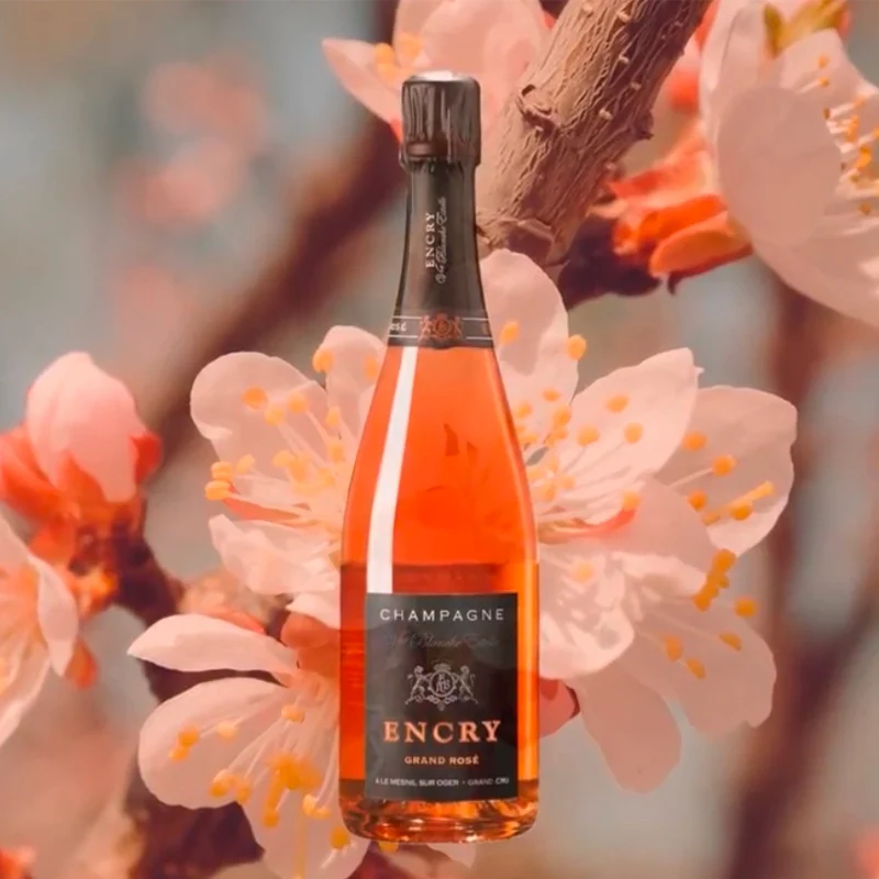 Selection Brut Grand Rosè Nuance Champagne AOC Rosé Encry