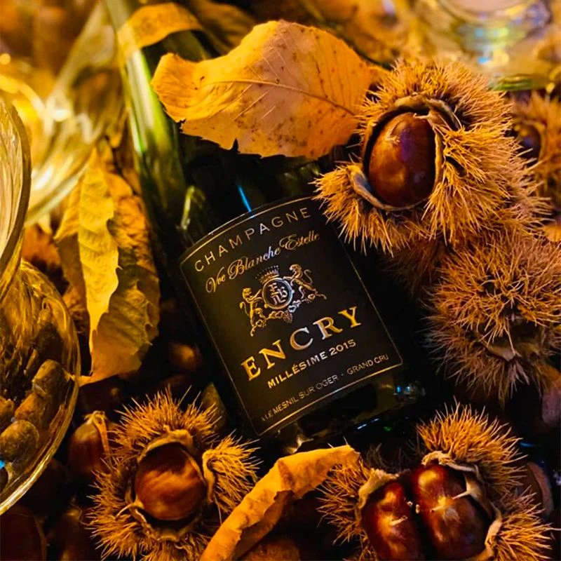 Millesime Memorie Zero Dosage Blanc De Blancs Champagne AOC 2015 Encry