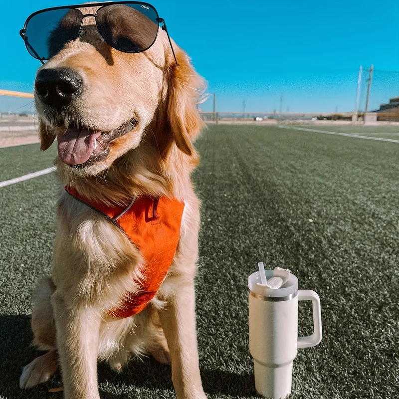 DKP Bottiglia D'acqua Con Capacità Di 40 Once Con Manico E Coperchio A Cannuccia, Bottiglie D'acqua In Acciaio Inossidabile Riutilizzabili E Isolate, Tazza Da Viaggio, Tazza Da Caffè, Tazza Da Auto, Tazza Da Acqua Per Uomini E Donne, Campeggio All'aperto