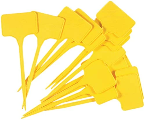 Connex Sunflower FLOR78750 Targhette per Piante, Giallo, Altezza: 150 mm, Area di etichettatura: 55 x 35 mm, 15 unità