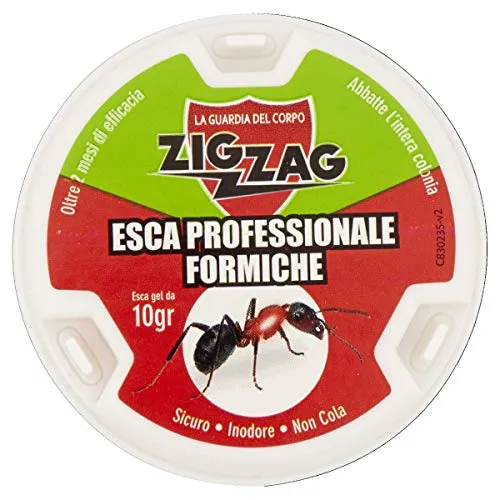 Zig Zag, Esca Insetticida Antiformiche in plastica rigida pronta all'uso, con gel antiformiche da 10 gr, inodore, non cola, non sporca.