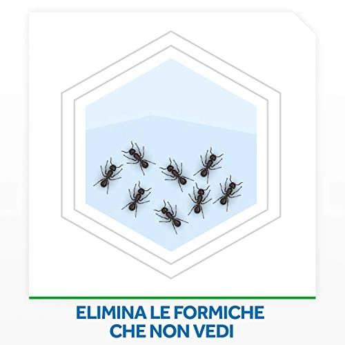 Raid Esca Formiche Insetticida, Pronta all'Uso in Spazi Interni ed Esterni, Confezione da 1 pezzo
