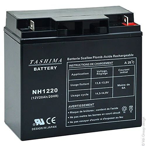 Tashima – Batteria per motocicletta NH1220/NH1218, 12 V, 20 Ah