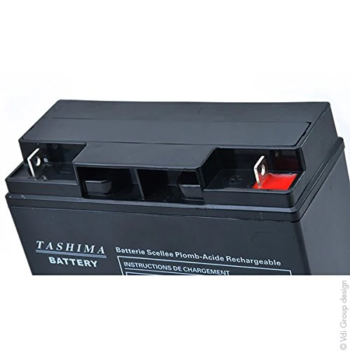 Tashima – Batteria per motocicletta NH1220/NH1218, 12 V, 20 Ah