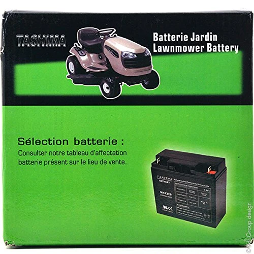 Tashima – Batteria per motocicletta NH1220/NH1218, 12 V, 20 Ah