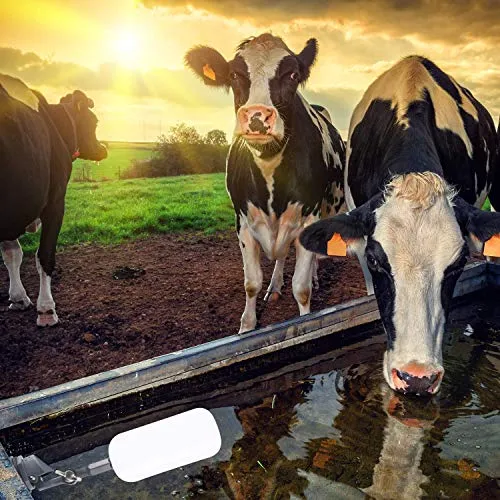 Pveath Valvola a Sfera Galleggiante per Filtro dell'Acqua, Kit di 3 valvole...
