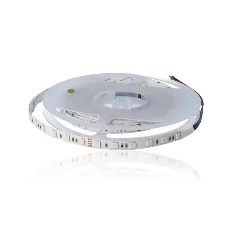 Striscia LED 14W, 24Vdc, RGB, 5mt