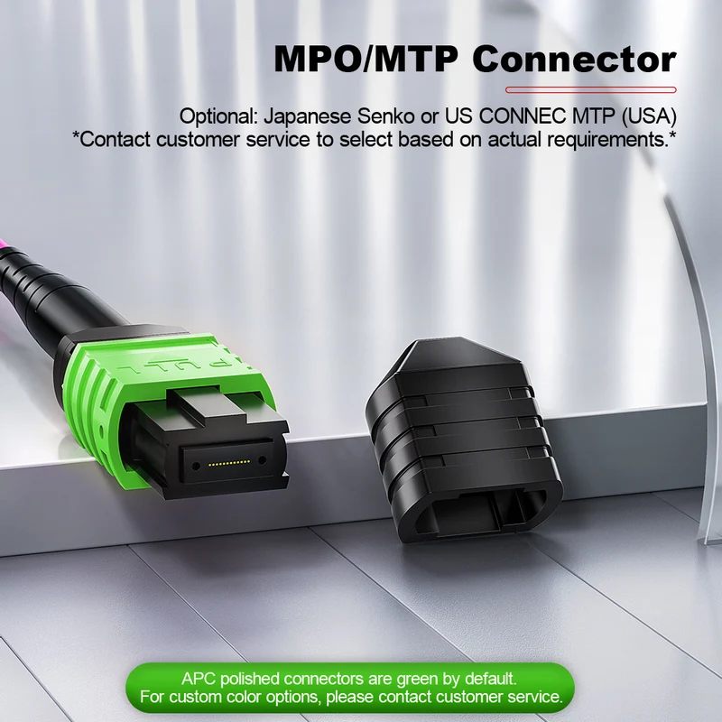 AMPCOM MPO Trunk Cable, MPO-24 APC (Female) to MPO-24 APC (Female), 24 Fibers, Multimode (OM4), LSZH/Riser, 0.35dB Max, Magenta